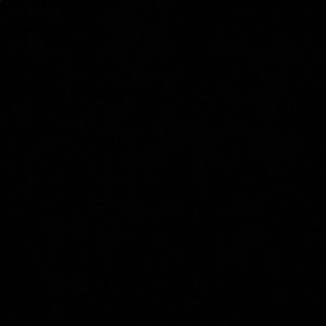 Meet your Posher, Bella